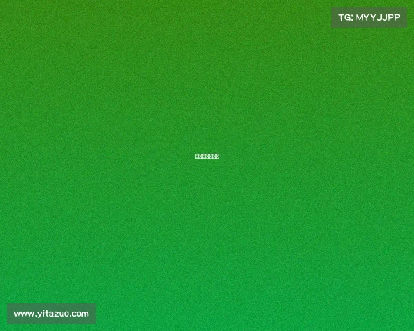 切尔西比赛集锦