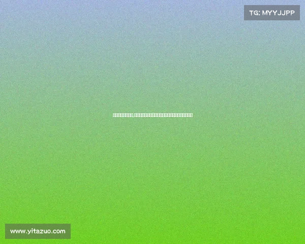 查尔斯顿电池赛事,查尔斯顿电池赛事点燃创新激情共绘绿色能源新时代